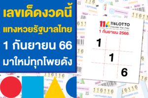เลขเด็ดงวดนี้ แทงหวย 1 กันยายน 66 มาใหม่ เช็กเลยก่อนแทงหวย