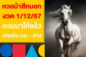 หวยม้าสีหมอก 1/12/67 ควบมาให้แล้ว งวดนี้ แจกเน้น ๆ บน - ล่าง