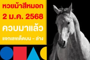 หวยม้าสีหมอก งวด 2 ม.ค. 2568 ควบมาแล้ว แจกเลขเด็ดบน - ล่าง