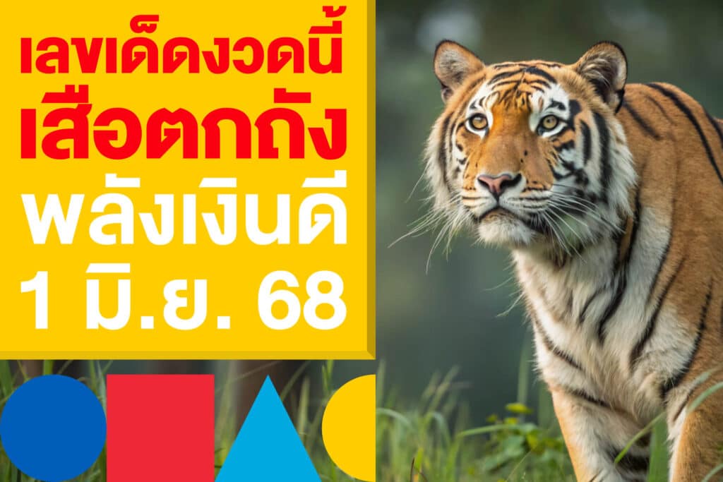 เลขเด็ด เสือตกถังพลังเงินดี งวดวันที่ 1 มิ.ย. 68 วิ่งบนล่าง 7 - 5