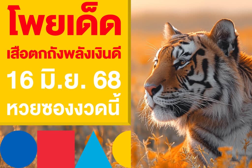 มาแล้ว หวยม้าสีหมอก 16/6/68 ควบเลขเด็ด บน - ล่าง ส่องเลย!
