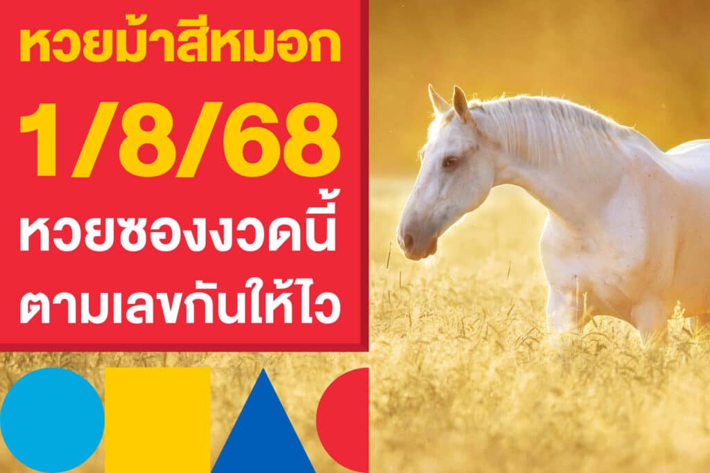 เลขเด็ด หวยม้าสีหมอก 1/8/68 หวยซองงวดนี้ ตามเลขกันให้ไว