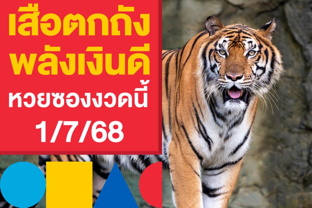 เลขเด็ด เสือตกถังพลังเงินดี หวยซองงวดนี้ 1/7/68 ลุ้นหวยรัฐบาลไทย