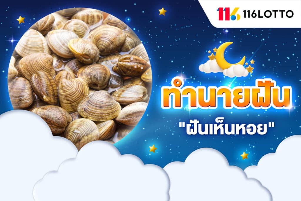 ฝันเห็นหอย ฝันว่าเก็บหอย ได้เยอะมาก เลขเด็ด และความหมาย